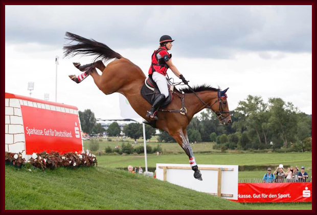 Eventing & Show Jumping Training