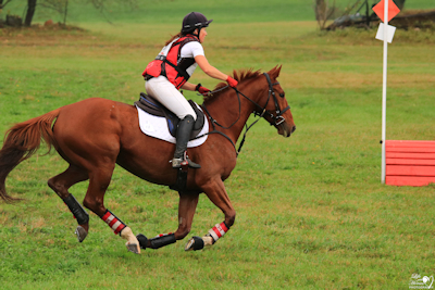 Holly Jacks-Smither & Finely Brewed