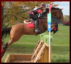 2nd place finish at the Haygard Mid-south CCI Three Day Team Challenge