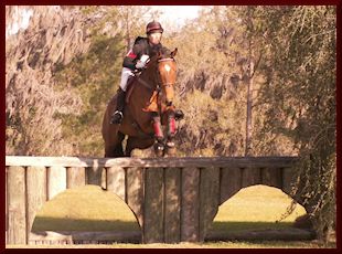 Holly Jacks & More Inspiration