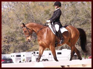 Holly Jacks & More Inspiration