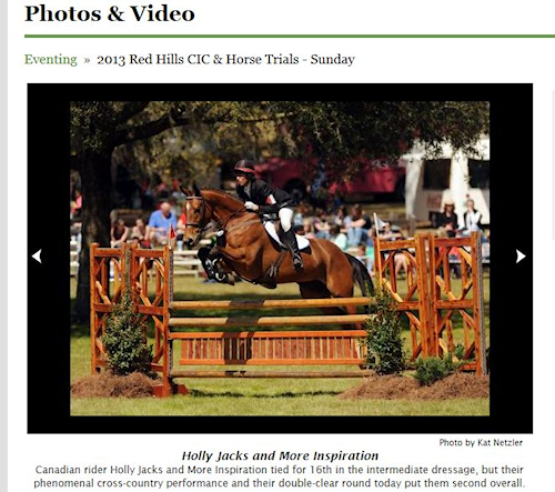 Chronicle of the Horse