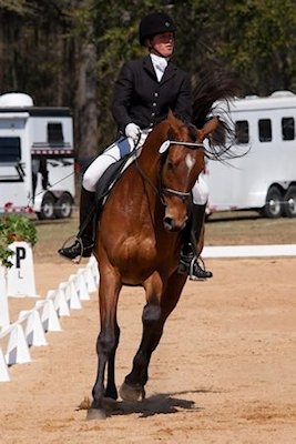 Dressage