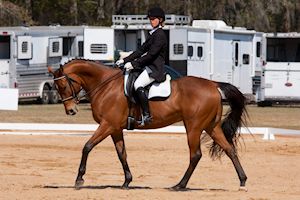 Dressage