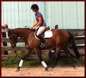 Peanut Quarter Horse Mare for sale